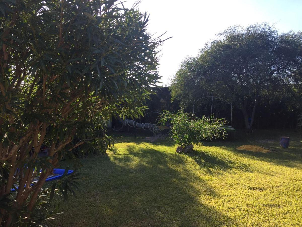Apartament Rosa De La Contrera Tarifa Zewnętrze zdjęcie